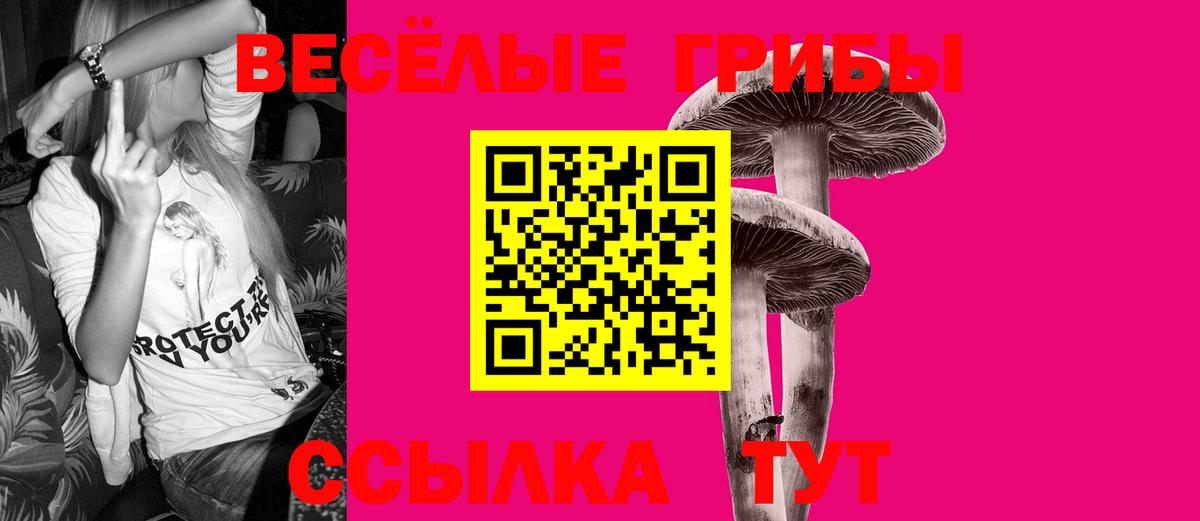 Галлюциногенные грибы GOLDEN TEACHER Алексеевка
